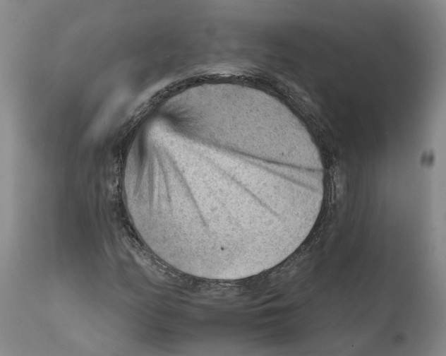 X0000111941158200908241133