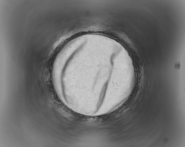 X0000111941160200908241133