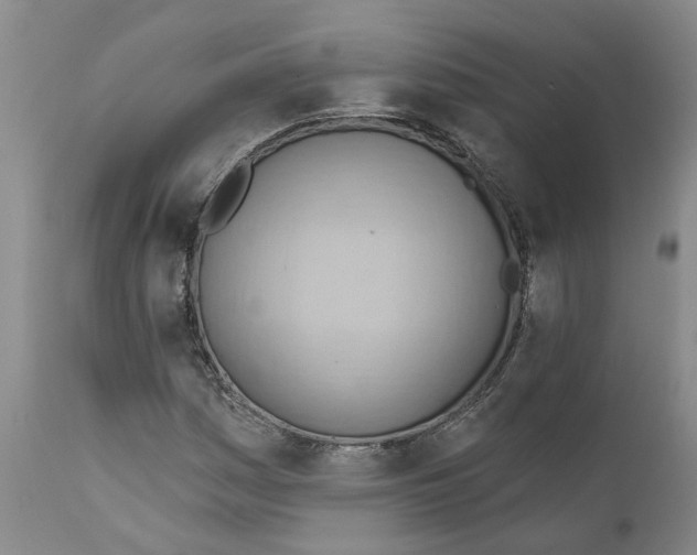 X0000111941161200908241133