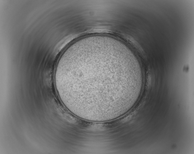 X0000111941162200908241133