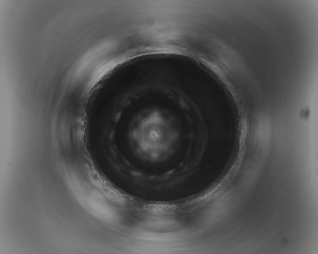 X0000111941163200908241133