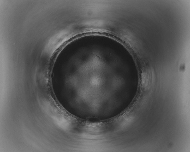 X0000111941165200908241133