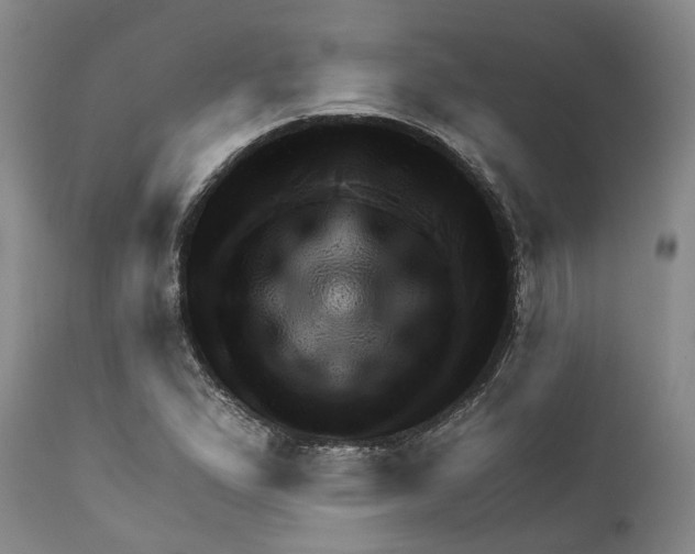 X0000111941167200908241133