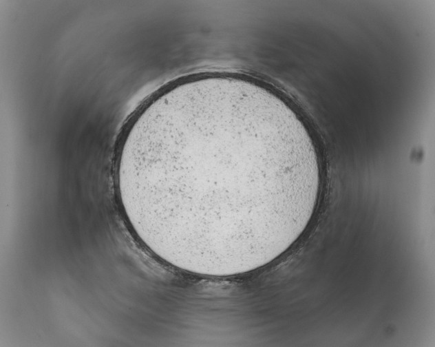 X0000111941168200908241133