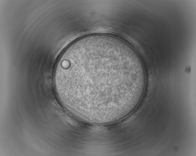 X0000111941170200908241133