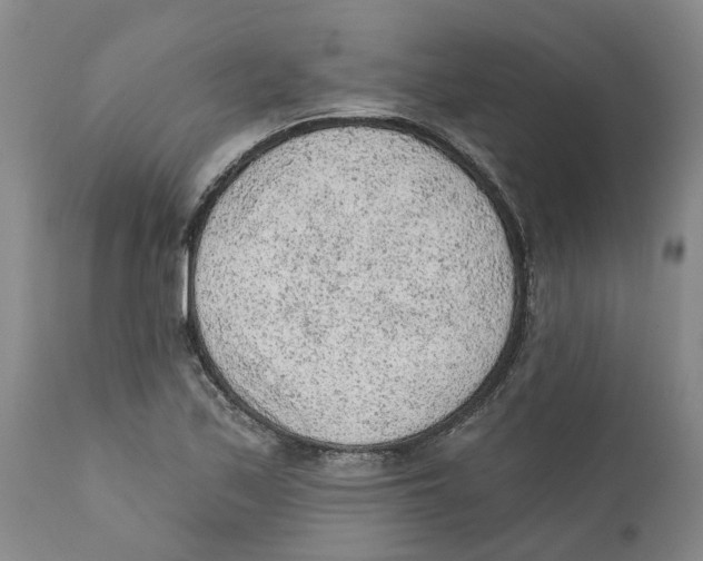 X0000111941171200908241133