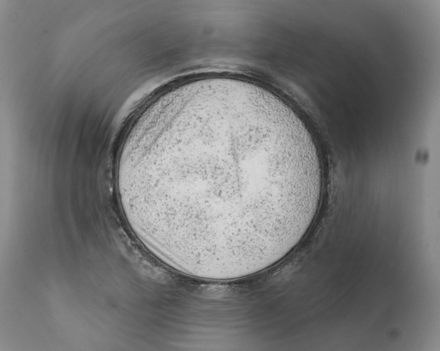 X0000111941172200908241133