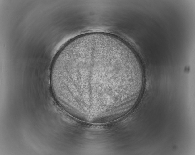 X0000111941174200908241133