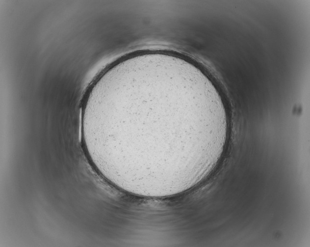 X0000111941175200908241133