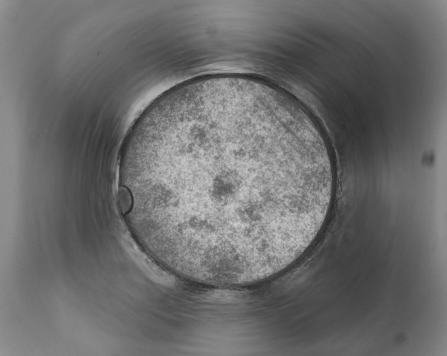 X0000111941179200908241133