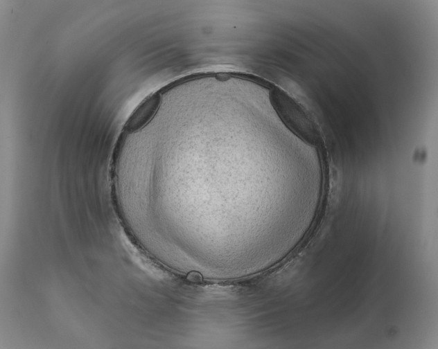 X0000111941181200908241133