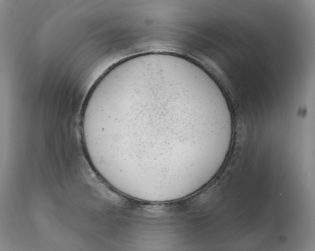 X0000111941182200908241133