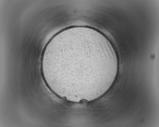 X0000111941183200908241133