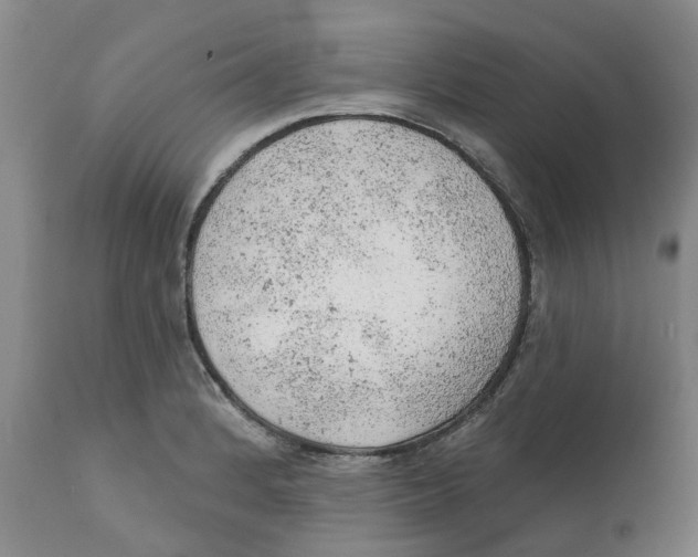 X0000111941184200908241133