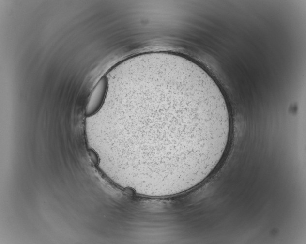 X0000111941185200908241133