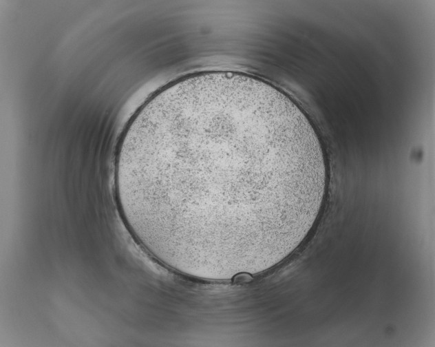 X0000111941188200908241133