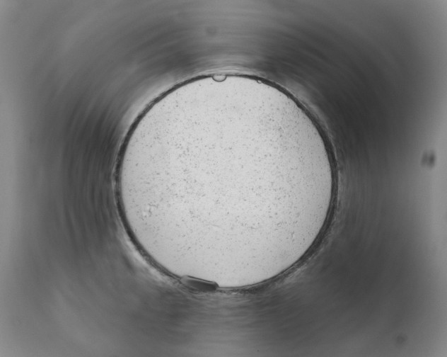 X0000111941189200908241133