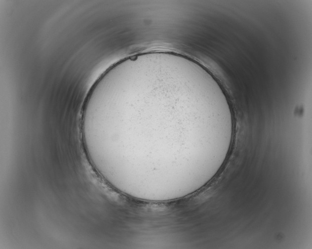 X0000111941190200908241133