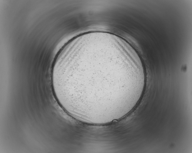 X0000111941192200908241133