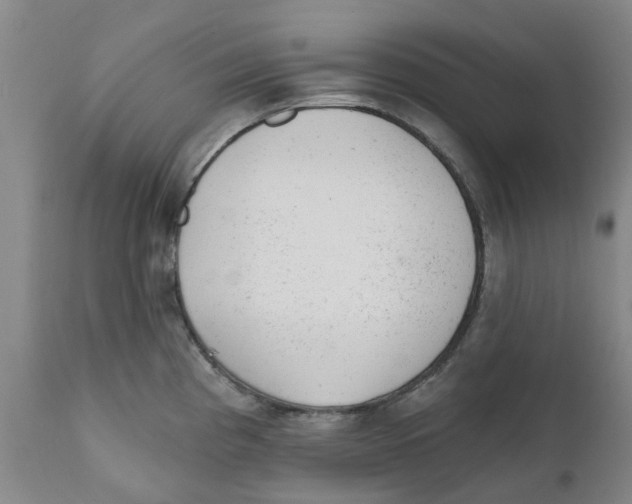 X0000111941193200908241133