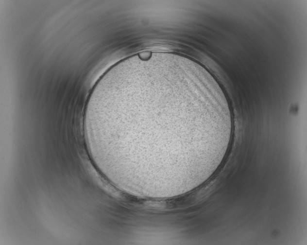 X0000111941194200908241133