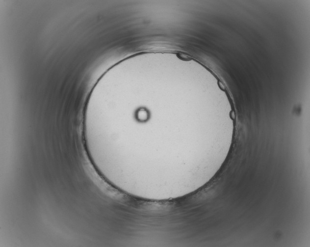 X0000111941195200908241133