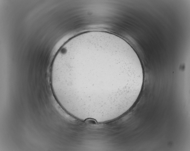 X0000111941196200908241133