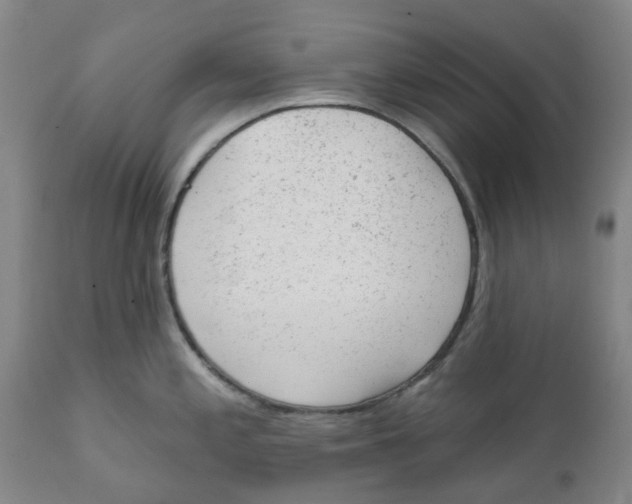 X0000111941197200908241133