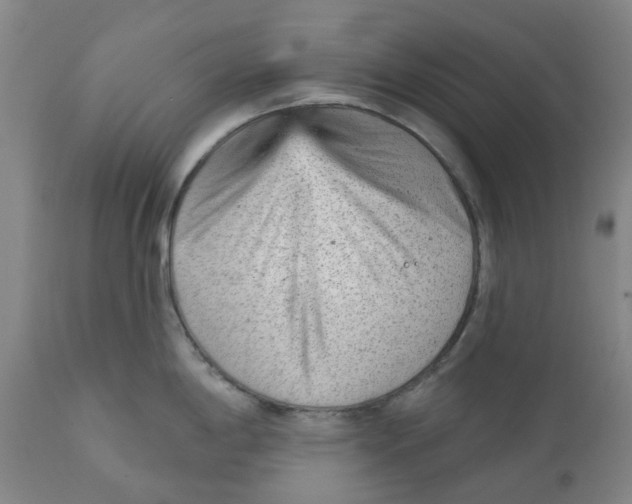 X0000111941198200908241133