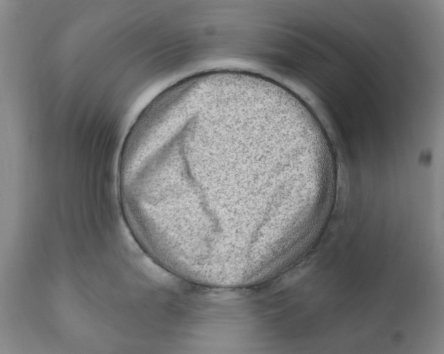 X0000111941199200908241133