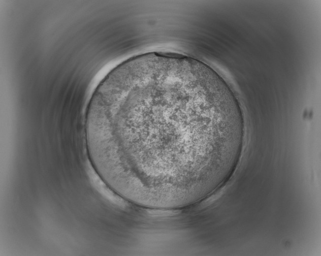 X0000111941200200908241133