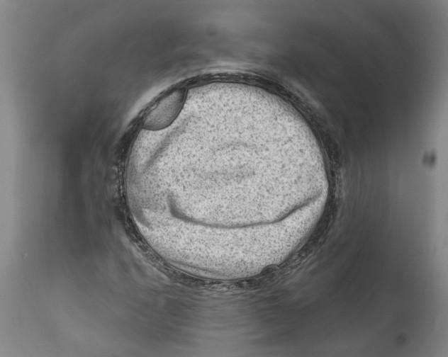 X0000111941208200908241132