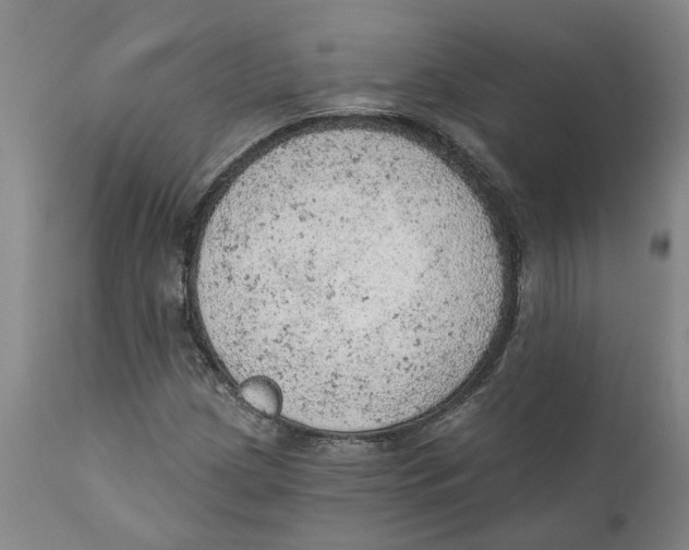 X0000111941209200908241132