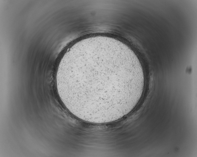 X0000111941210200908241132