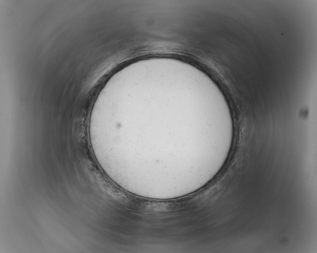 X0000111941211200908241132