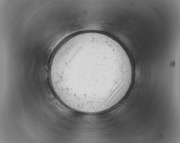 X0000111941212200908241132