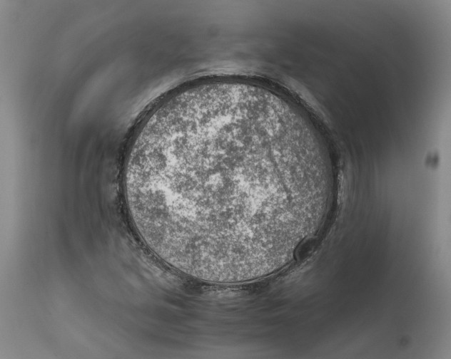 X0000111941213200908241132