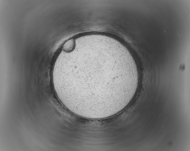 X0000111941214200908241132