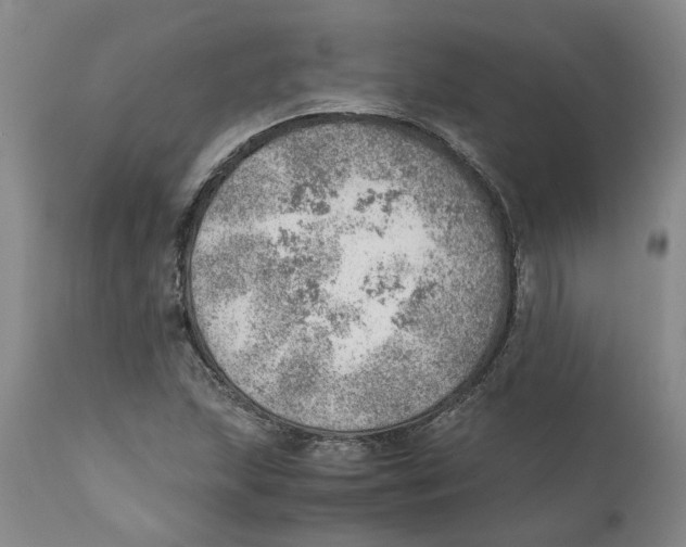 X0000111941215200908241132