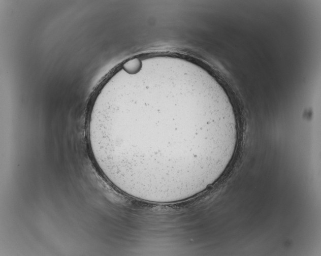 X0000111941216200908241132