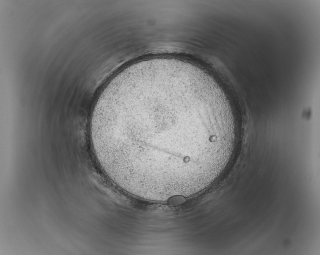 X0000111941217200908241132