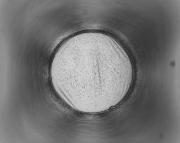 X0000111941218200908241132