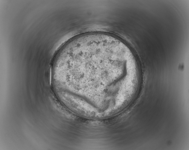 X0000111941219200908241132