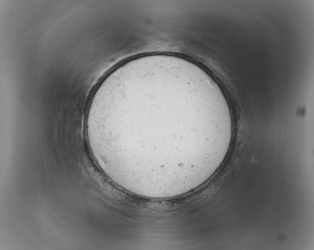 X0000111941220200908241132