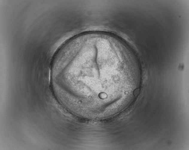 X0000111941221200908241132