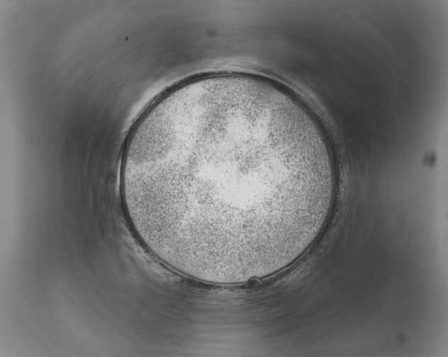 X0000111941224200908241132