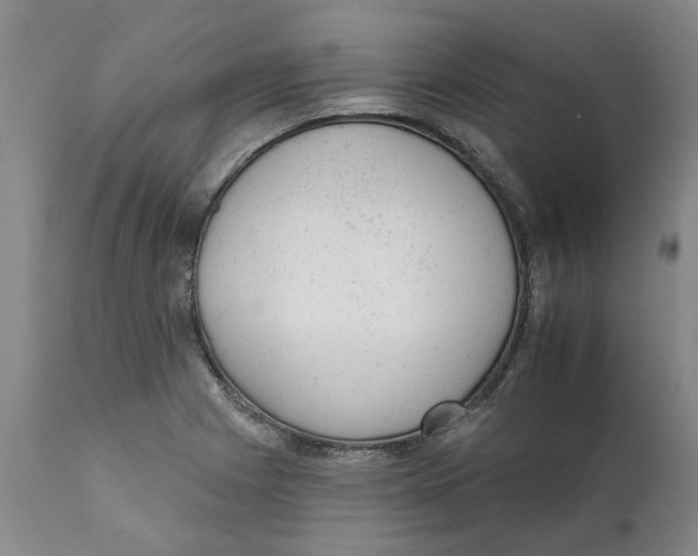 X0000111941225200908241132