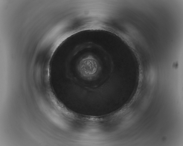 X0000111941226200908241132