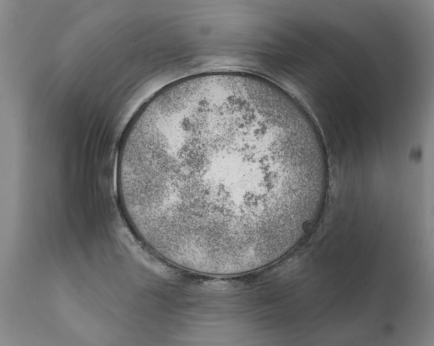 X0000111941227200908241132