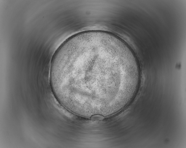 X0000111941228200908241132